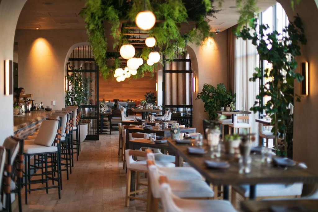 restaurant in SF hotel with wooden tables and chairs, arched windows and greenery hanging from the ceiling