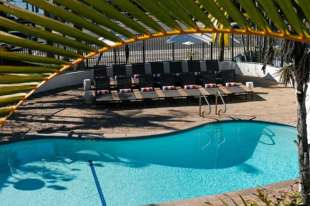 black cushioned sun loungers in front of an organic shaped outdoor pool with large palm branch at the top of the view