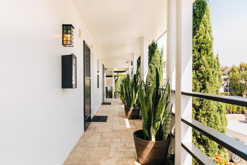 outdoor hallway with tall plants in big pots on the side and black hotel room doors